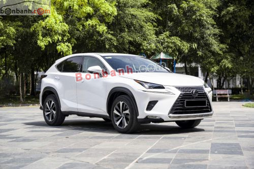 Lexus NX 300 2021 - ảnh 1
