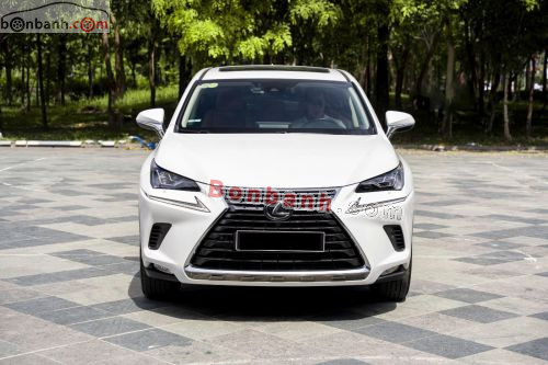 Lexus NX 300 2021 - ảnh 2