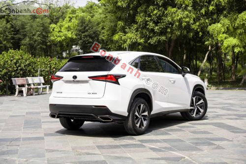 Lexus NX 300 2021 - ảnh 3