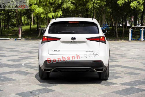 Lexus NX 300 2021 - ảnh 4