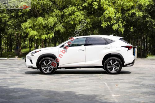 Lexus NX 300 2021 - ảnh 5