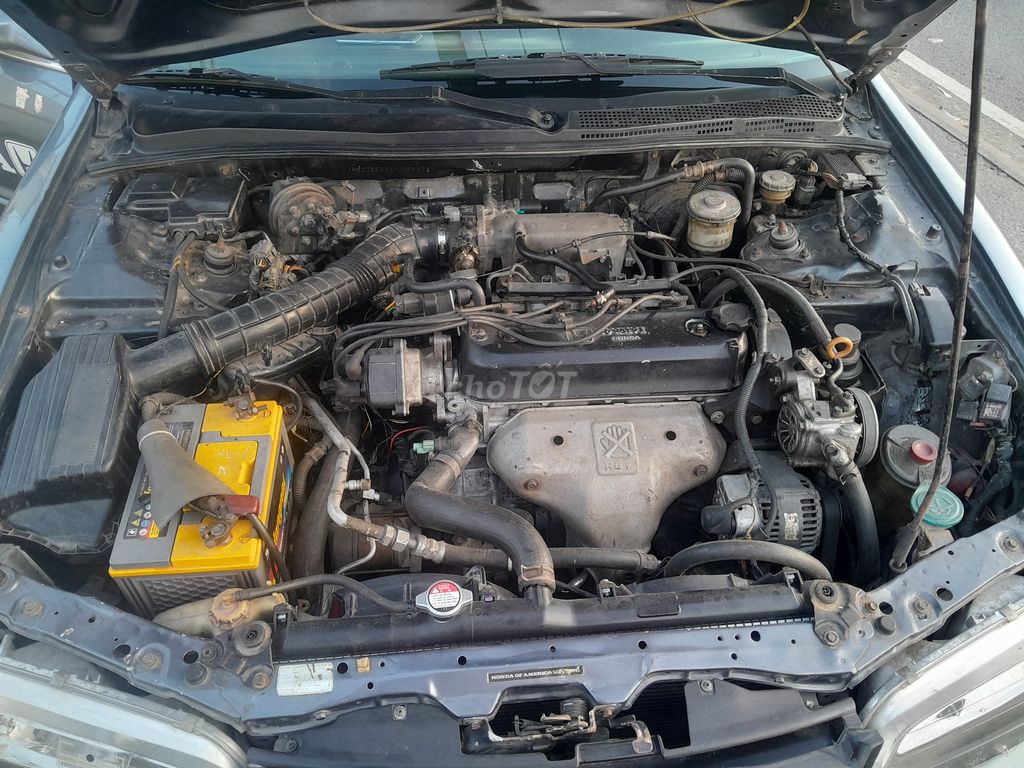 Honda Accord 1995 - ảnh 3