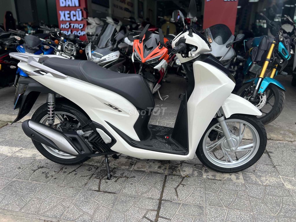 SH 2025 - ảnh 2