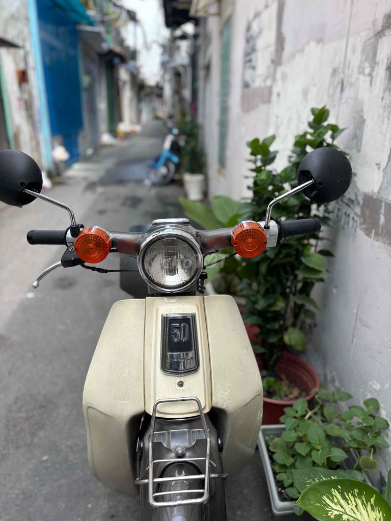 Honda Cub 1981 - ảnh 2