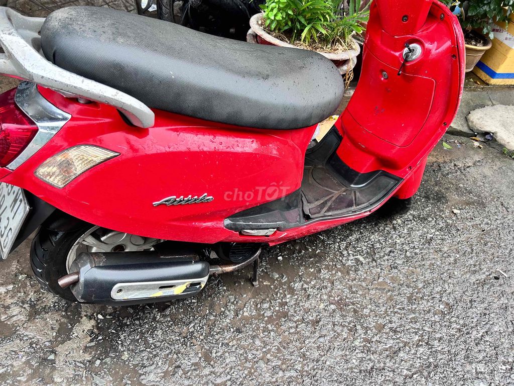 ATILA CH 2009 - ảnh 2