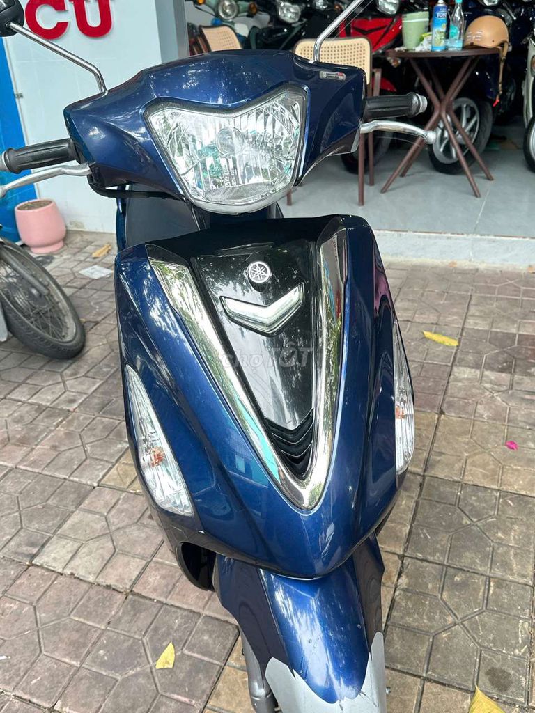 Piaggio 2010 - ảnh 2