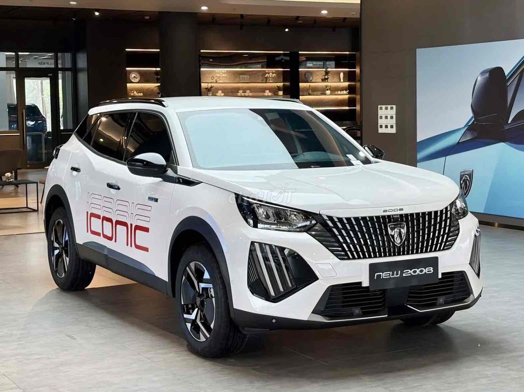 Peugeot 2008 2008 - ảnh 1