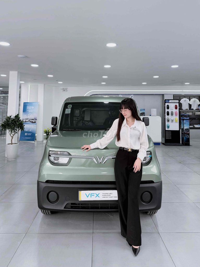 VinFast EC VAN - ảnh 1