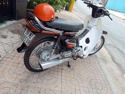 Dream m 2009 - ảnh 1