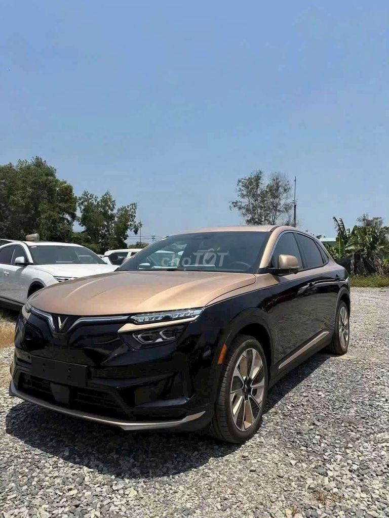 VinFast 2025 - ảnh 1