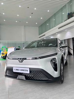 VinFast Limo Green - ảnh 1