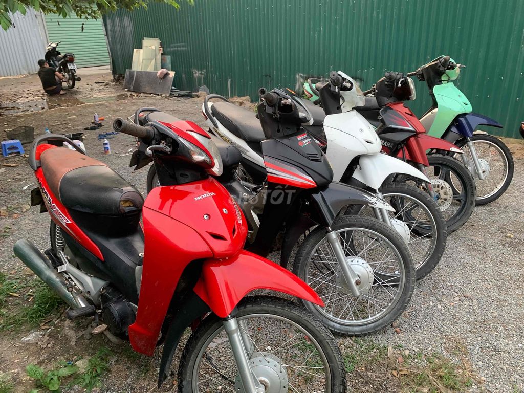 thanh l 2018 - ảnh 1