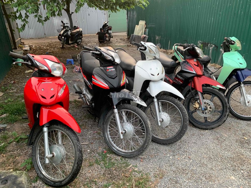thanh l 2018 - ảnh 2