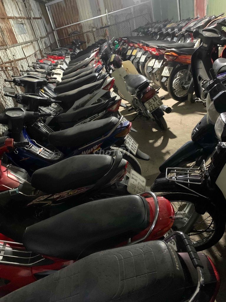 thanh l 2018 - ảnh 4