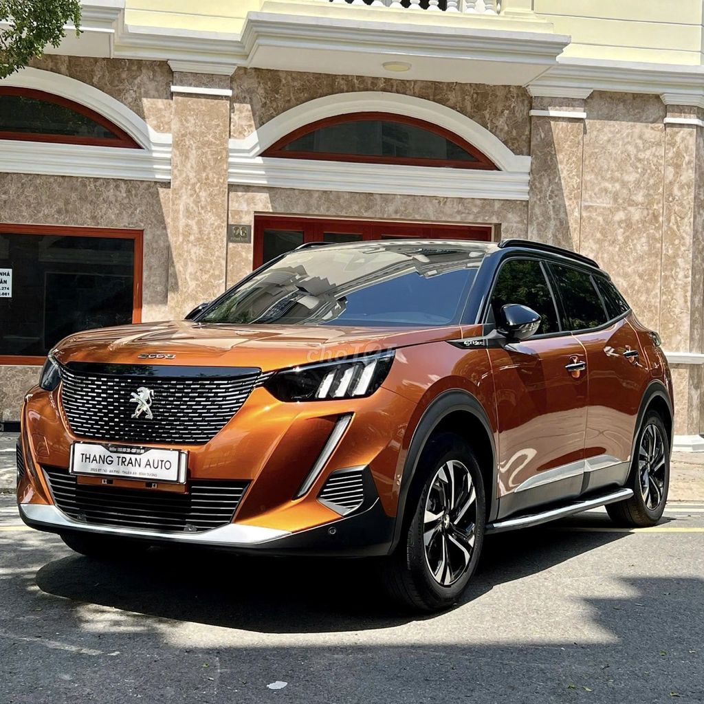 Peugeot 2008 2008 - ảnh 1