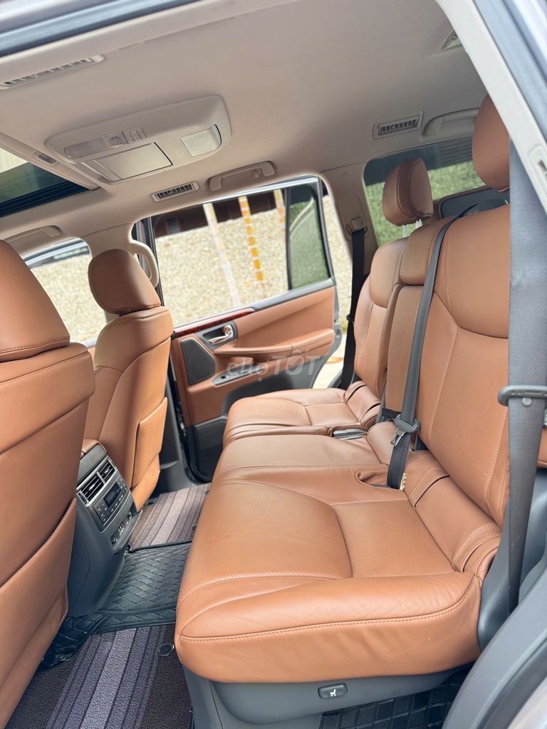 Lexus LX 2009 - ảnh 5