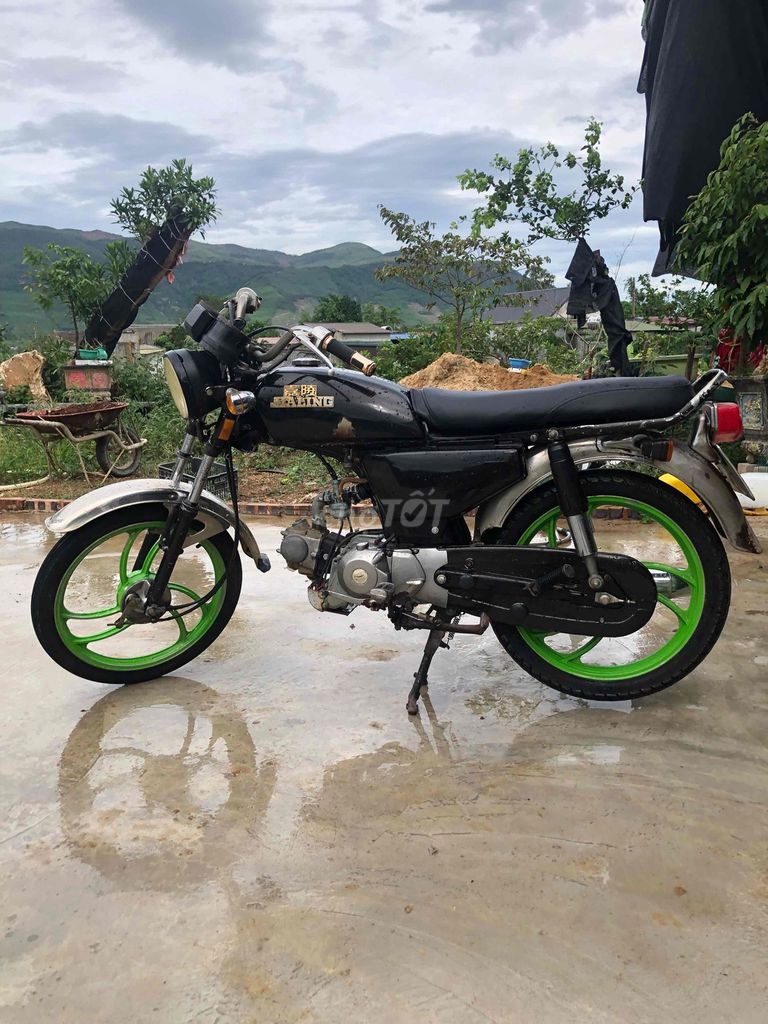 Zalinh 1998 - ảnh 1