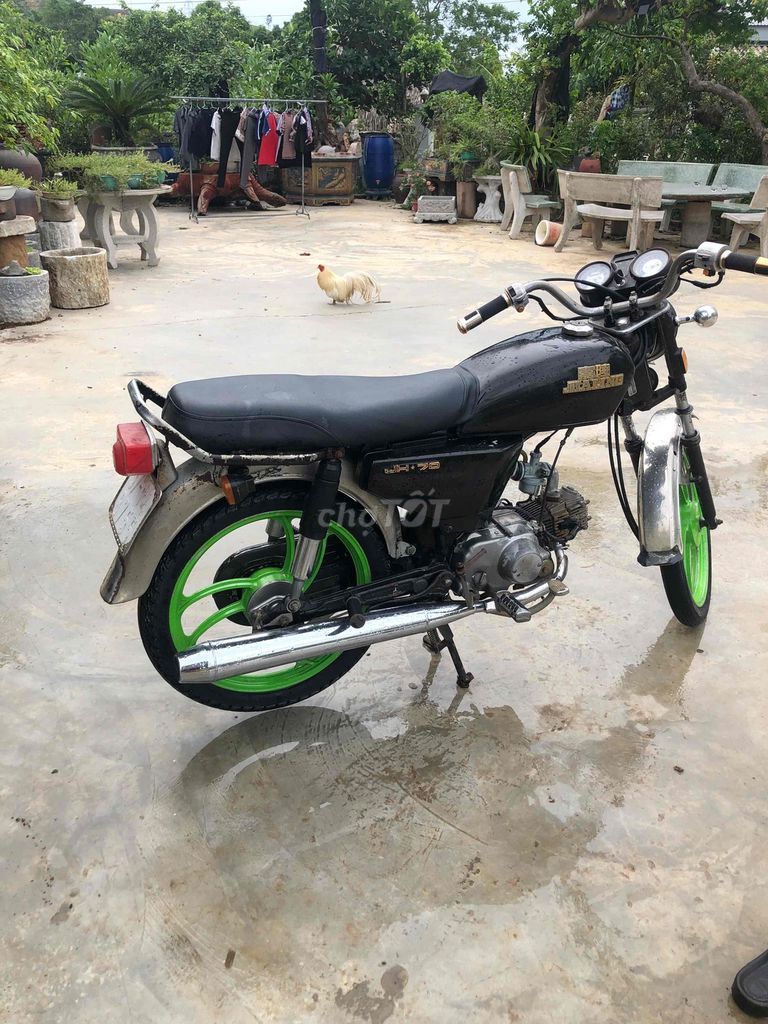 Zalinh 1998 - ảnh 3