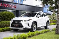 Lexus RX 300 2022 - ảnh 1
