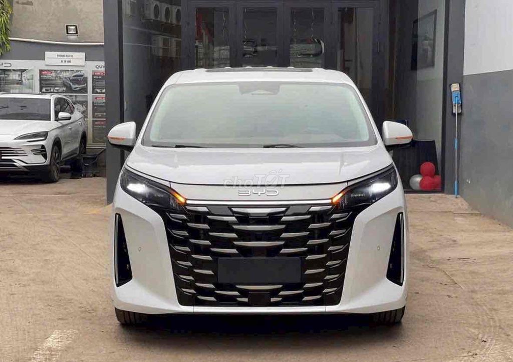 BYD - ảnh 1