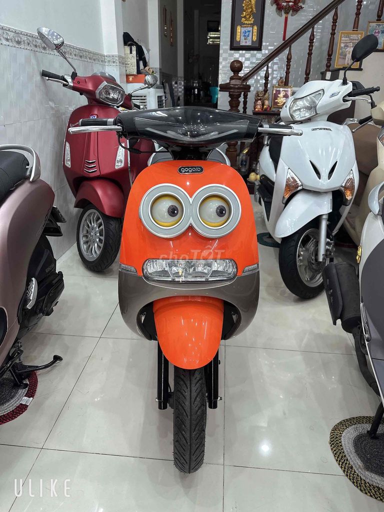 GOGO 2022 - ảnh 2