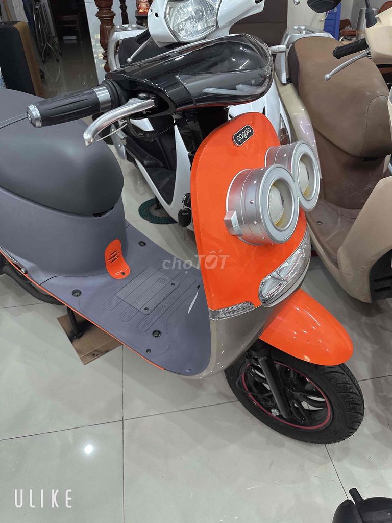 GOGO 2022 - ảnh 4