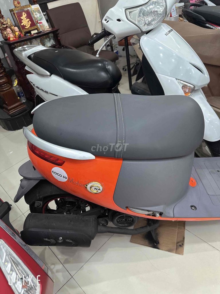 GOGO 2022 - ảnh 5
