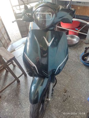 Xe m 2025 - ảnh 1
