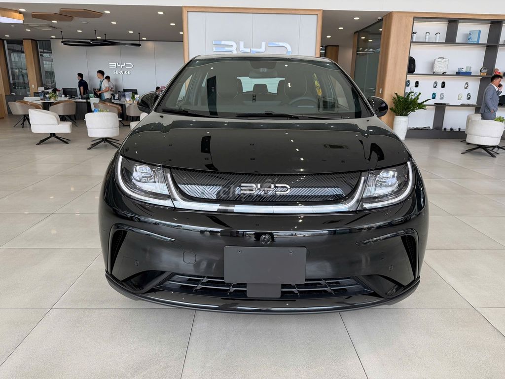BYD Dolphin 2026 - ảnh 1