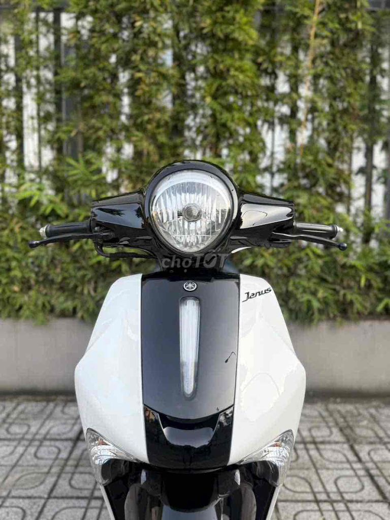 Yamaha Janus 2019 - ảnh 1