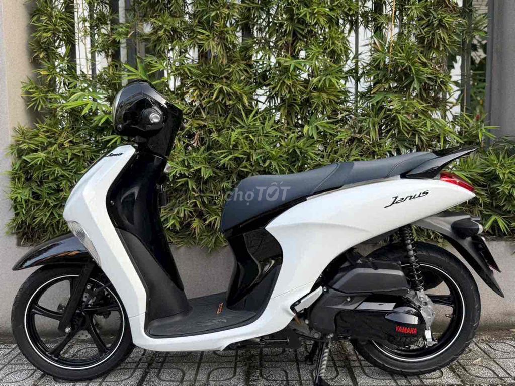 Yamaha Janus 2019 - ảnh 5