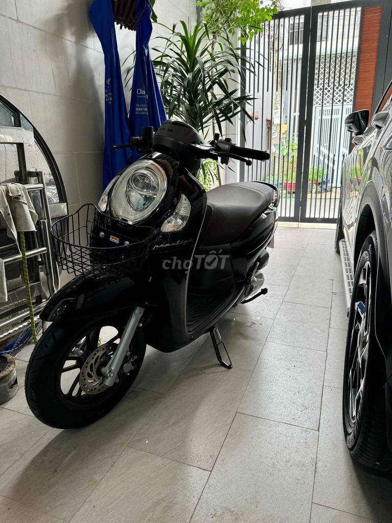 Honda Scoopy 2024 - ảnh 1