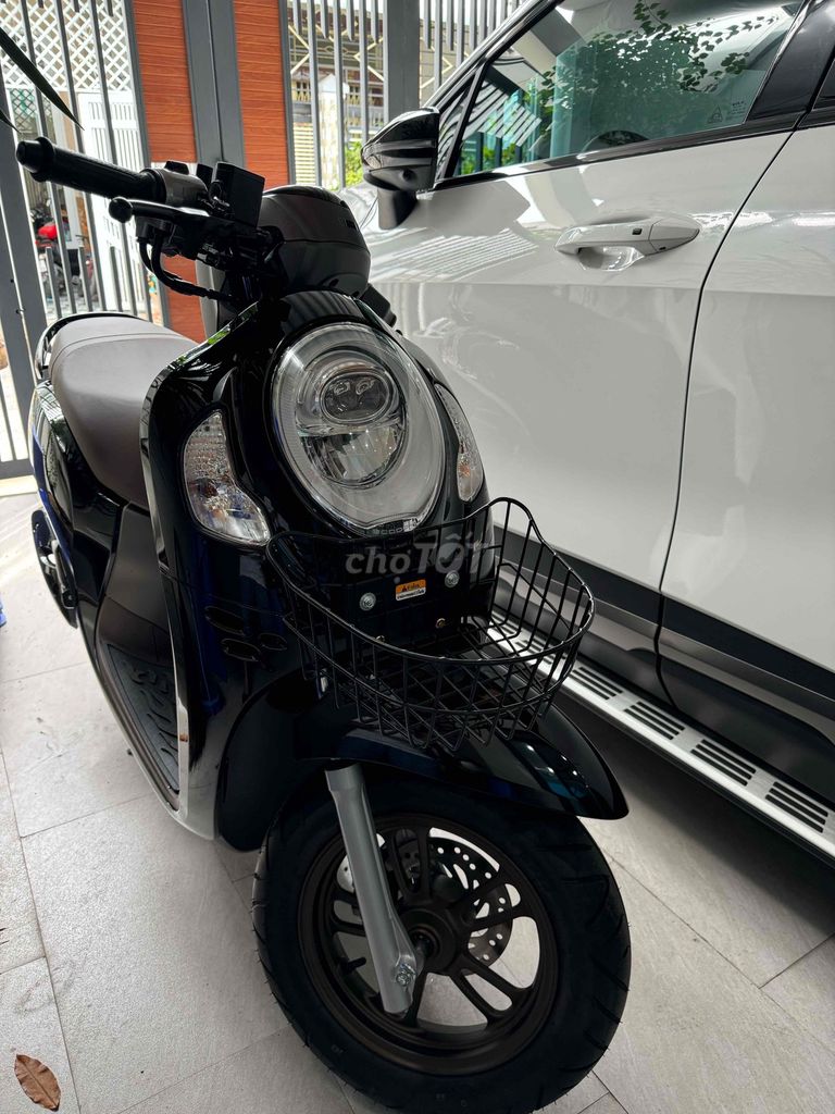 Honda Scoopy 2024 - ảnh 2