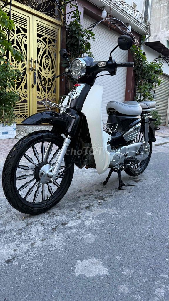 Daelimiko C 2023 - ảnh 1