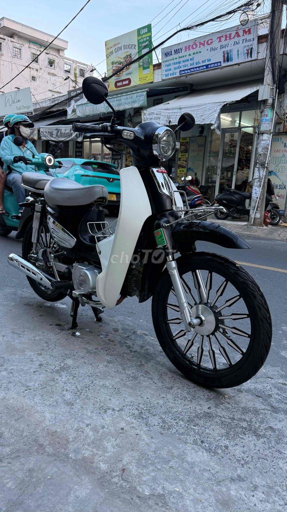 Daelimiko C 2023 - ảnh 2