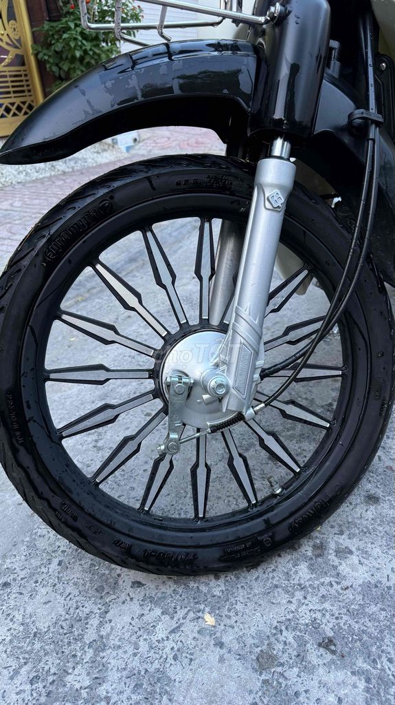 Daelimiko C 2023 - ảnh 4