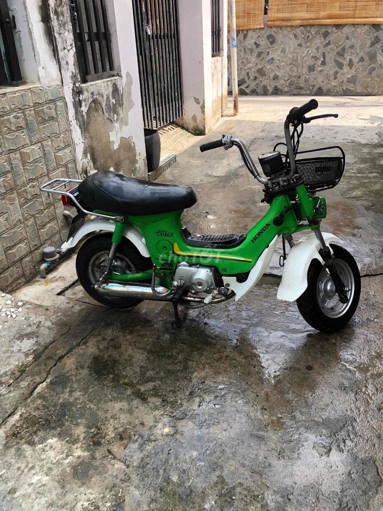 Honda Chaly 1981 - ảnh 2