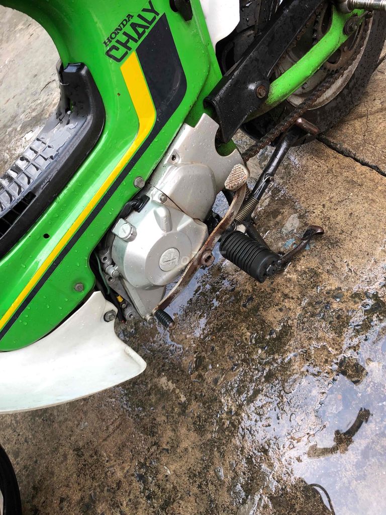 Honda Chaly 1981 - ảnh 4
