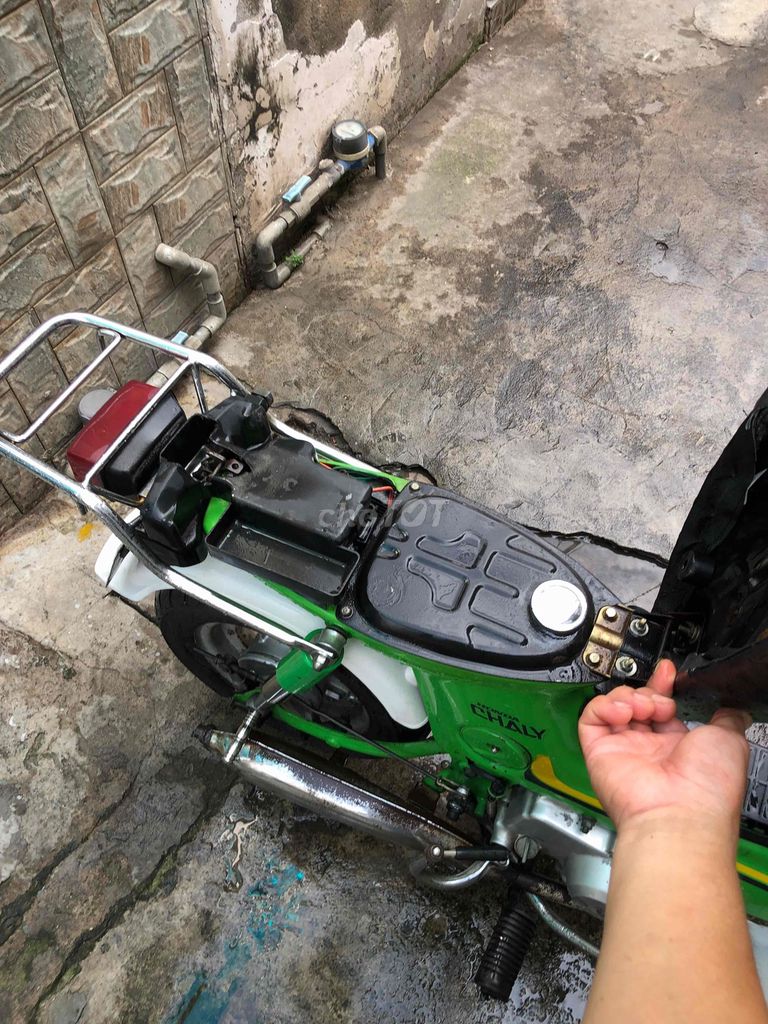 Honda Chaly 1981 - ảnh 5