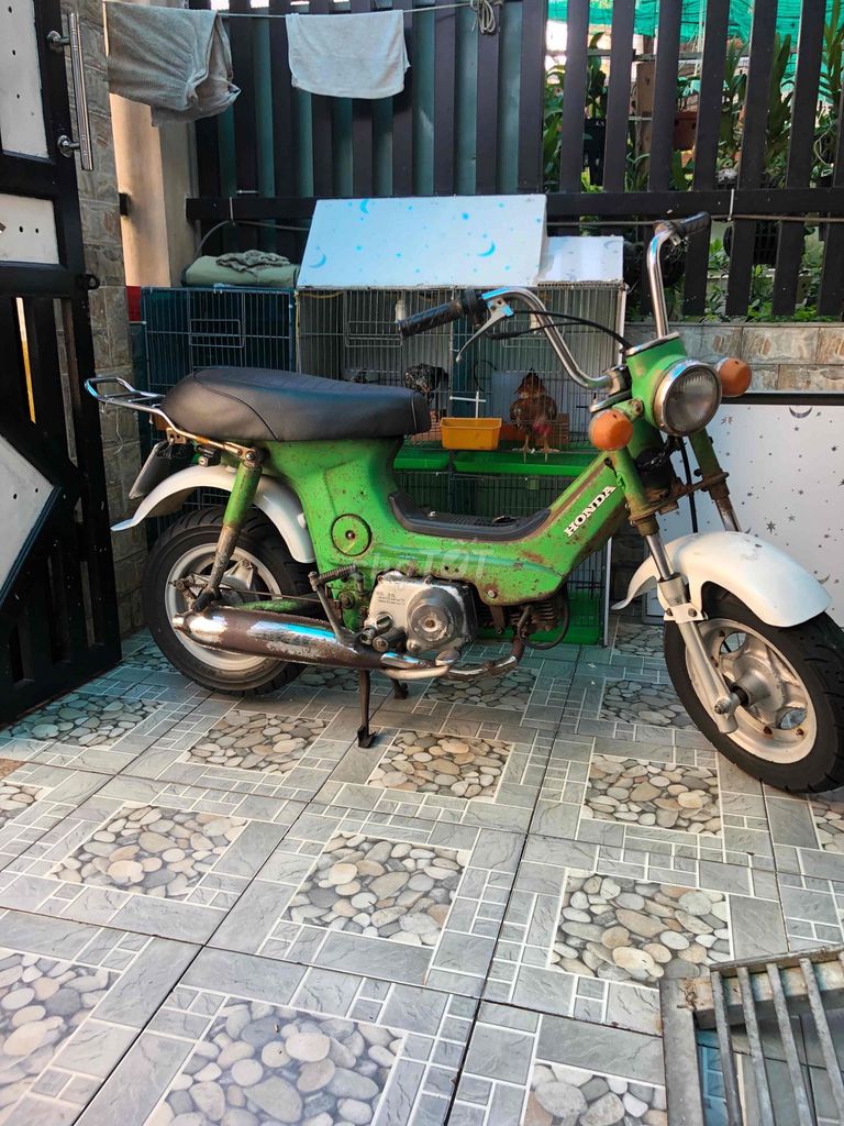 Honda Chaly 1980 - ảnh 1