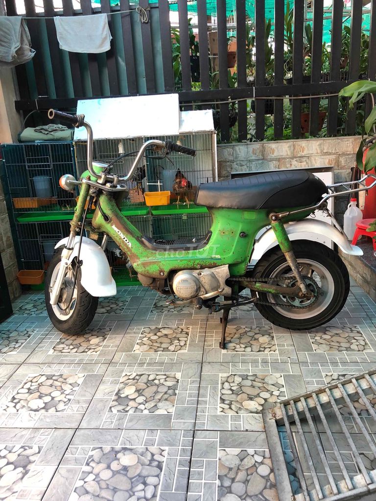 Honda Chaly 1980 - ảnh 2