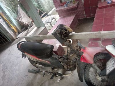 Xe 2010 - ảnh 1