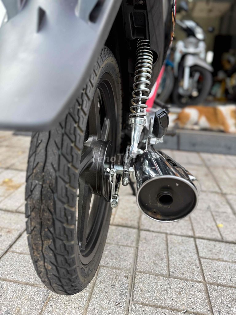 Honda 2010 - ảnh 5