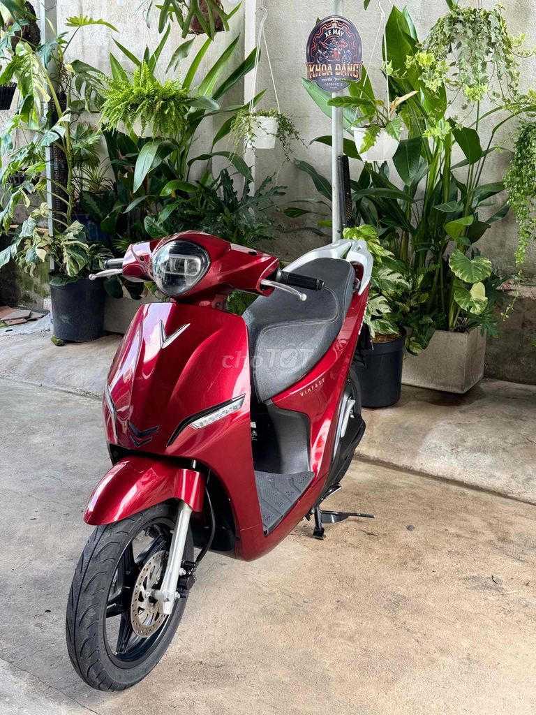 Xe VinFast 2024 - ảnh 1