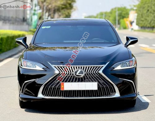 Lexus ES 250 2019 - ảnh 1