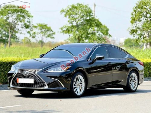 Lexus ES 250 2019 - ảnh 2