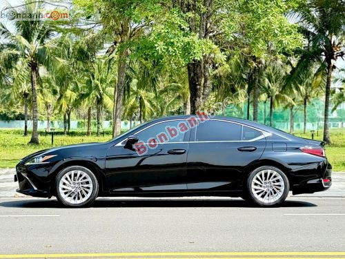 Lexus ES 250 2019 - ảnh 3