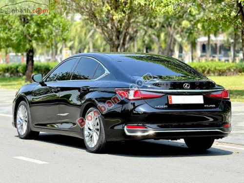 Lexus ES 250 2019 - ảnh 4