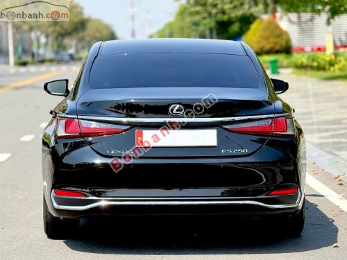 Lexus ES 250 2019 - ảnh 5