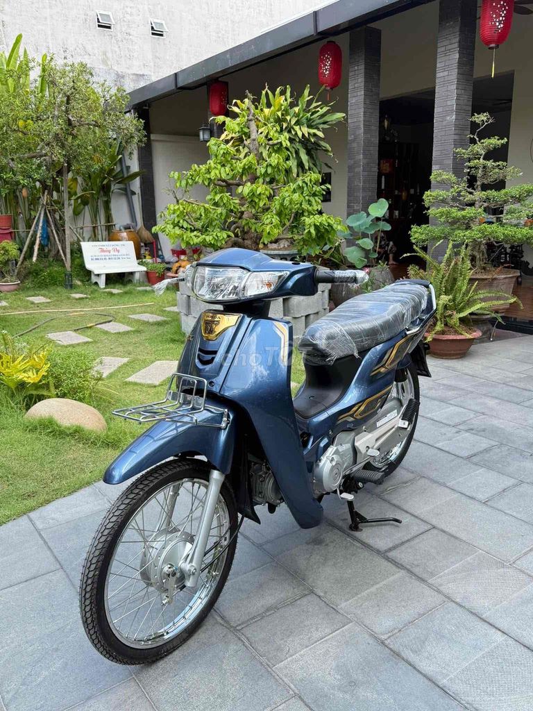 Honda - ảnh 1